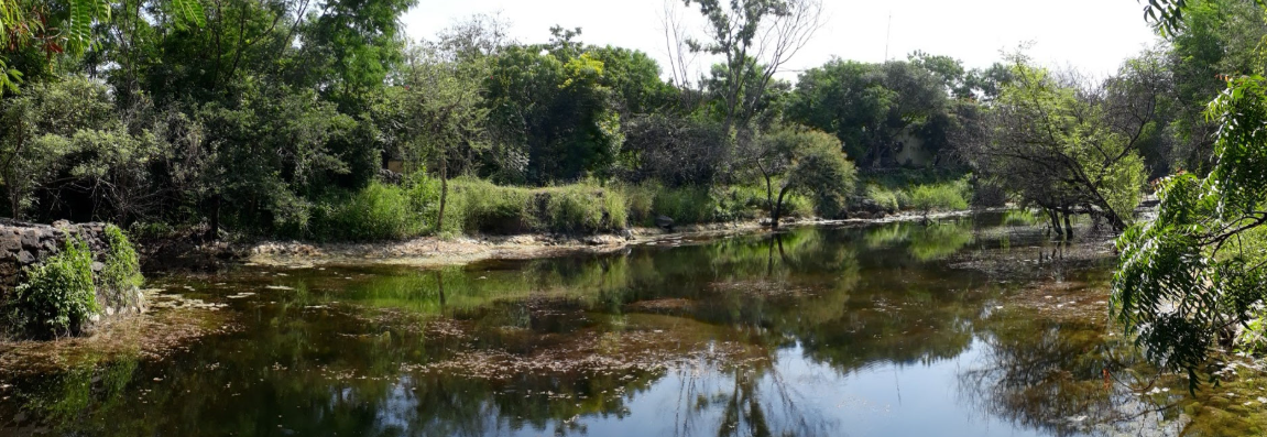 Hingolgadh Nature Education Sanctuary, Rajkot, Gujarat - Vushii.com Hingolgadh Nature Education Sanctuary, Rajkot, Gujarat - Vushii.com